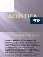 Acustica Instrumente Muzicale