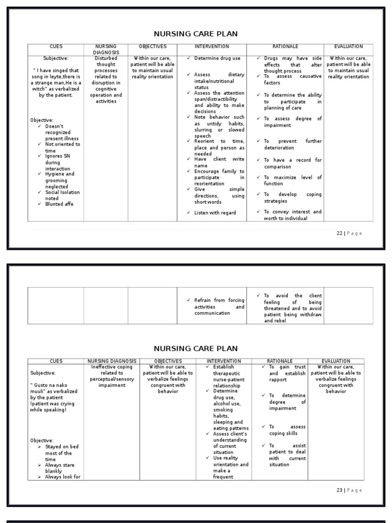 Sample Care Plan Psych  jade-hs.de