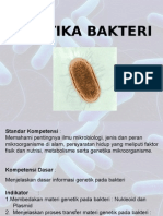Genetika Bakteri