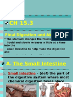 CH 15 3 Final Digestion and Absorption