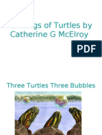 Paintings of Turtles by Catherine G McElroy