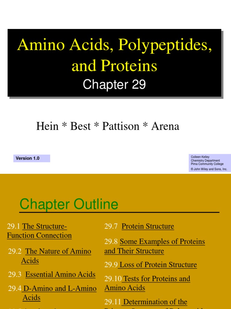 Ch29 Amino Acids, Polypeptides and Proteins PDF Protein Structure Proteins