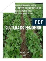 Cultura Do Feijoeiro