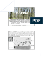 morfologia_anatomia plantelor_AH4_tulpina.pdf