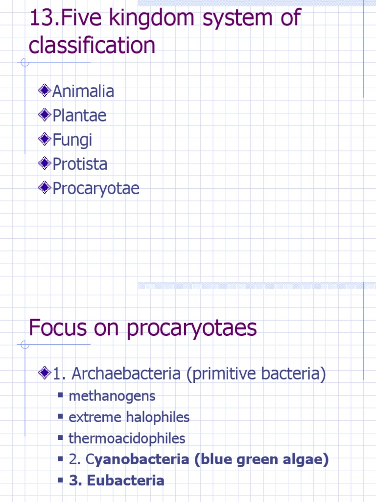 Five Kingdom Classification Overview | PDF