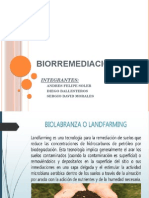 biorremediacion