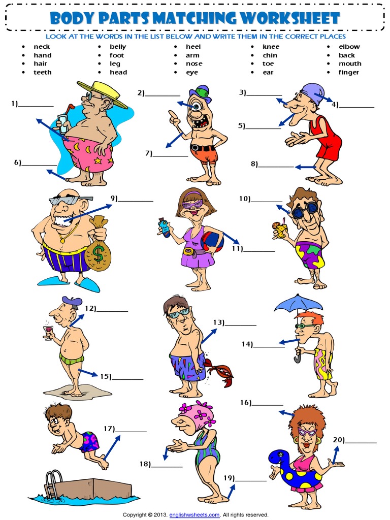 Body Parts Matching Exercise Vocabulary Worksheet | PDF | Foot | Hand