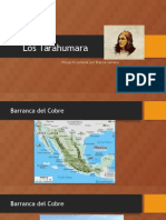 los tarahumara