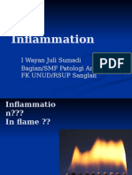 Inflammation Complete Pertemuan 2