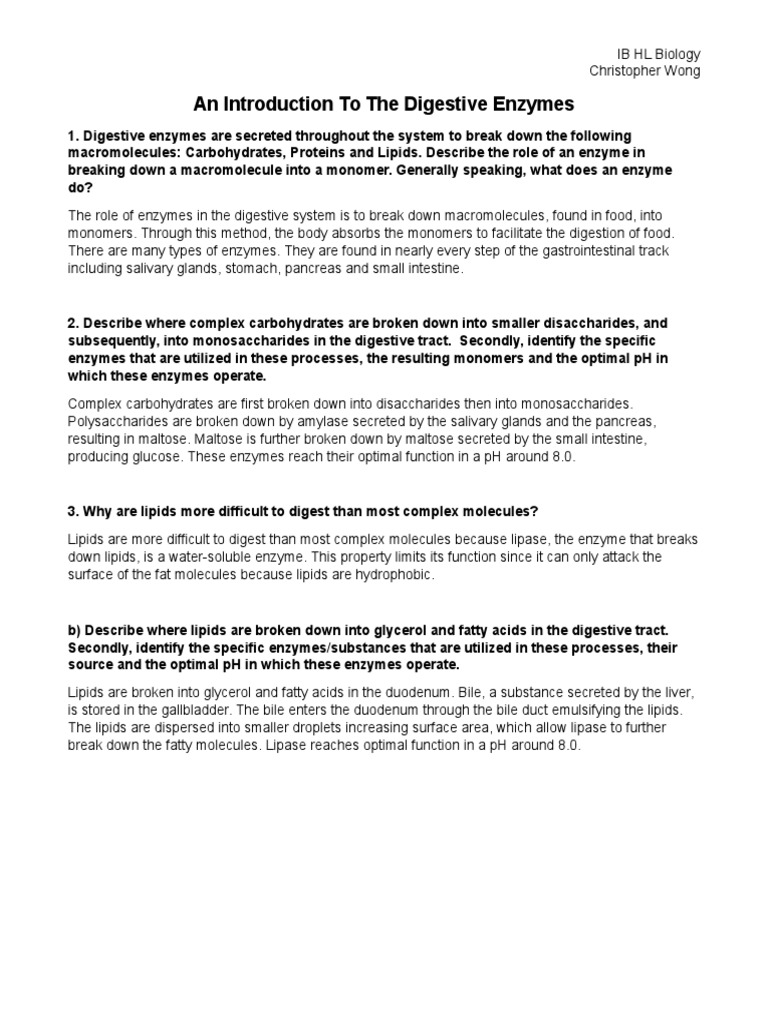 An Introduction To The Digestive Enzymes Questions Digestion Stomach