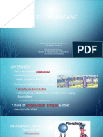 2.cell Membrane