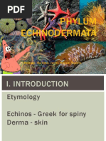 Download ECHINODERMATApdf by Jandel Plurad SN265150227 doc pdf