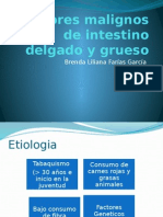 Tumores Malignos de Intestino Delgado y Grueso (1)