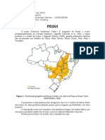 Pequi e Óleo de Coco para Biocombustíveis