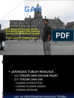 Jaringan Epitel Pertemuan 2