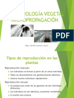 Biotecnología Vegetal - Micropropagación