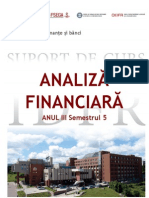 Analiza Financiara 