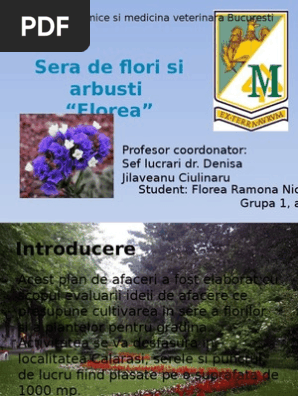 Sera De Flori Si Arbusti