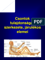 A Csontok Tulajdonságai