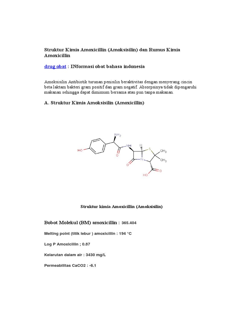 Struktur Kimia Amoxicillin