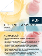 Trichinella Spiralis