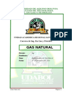 Proceso de Endulzamiento Del Gas Natural