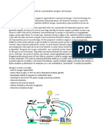               Tehnologii de valorificare a potentialului energetic din biomasa