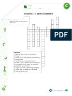 Sistema Digestivo 5°