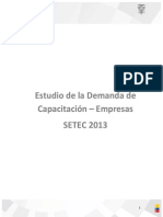 ESTUDIO-DE-LA-DEMANDA-DE-CAPACITACIÓN-–-EMPRESAS-SETEC-2013-ok