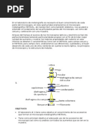 Carta De Exoneracion De Examen Medico De Retiro - About 