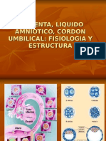 Placenta, Liquido Amniotico, Cordon Umbilical