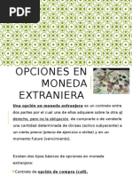 Opciones en Moneda Extranjera 