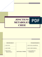 Jonctiuni Metabolice