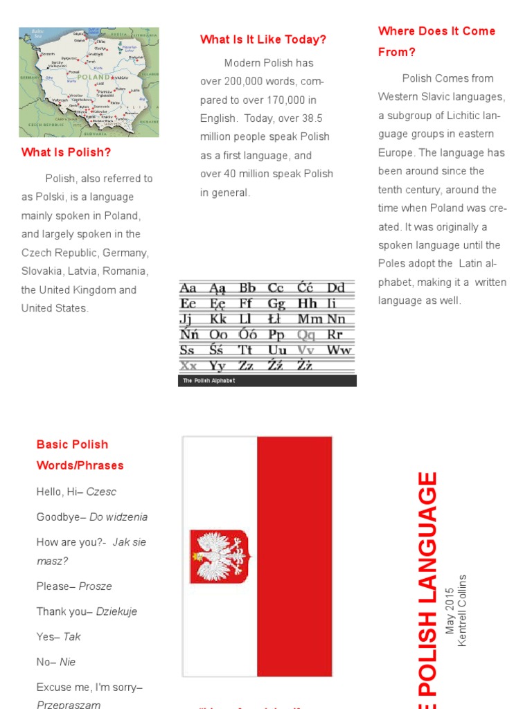 Polish Language Overview & Basics | PDF | Foreign Language Studies