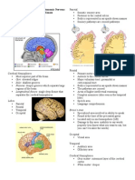 Brain and Special Senses