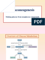 Gluconeogenesis: Making Glucose From Nonglucose Compounds