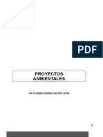 PROYECTOS AMBIENTALES