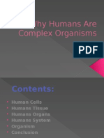 Why Humans Are Complex Organisms