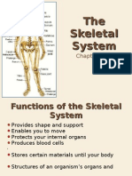 10-2 the Skeletal System Web Version