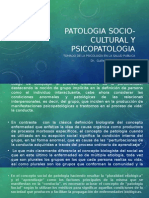 Patologia Socio Cultural y Psicopatologia 02 - 2015