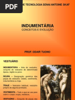 Indumentária Conceitos e Evolução