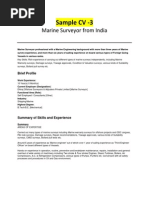 Marine Surveyor - Sample CV 3