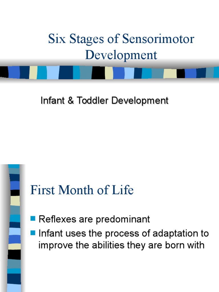 Six Stages of Sensorimotor Development PDF