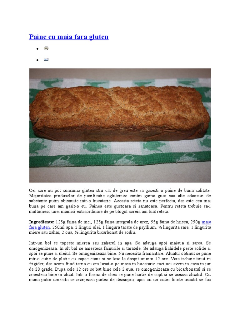 Paine Cu Maia Fara Gluten