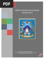Download PROFIL KESEHATAN SLEMAN by hasiemathic SN265295936 doc pdf