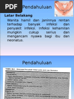 Download Torch by Lucky Septianis SN265299578 doc pdf