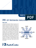 IMS_AN.pdf