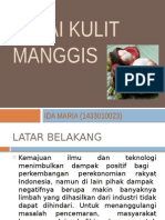 Selai Kulit Manggis