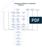 Schema Tehnologica de Obtinere a Salamului German