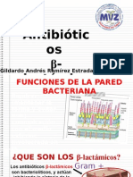 Antibioticos Betalactámicos (Veterinaria)